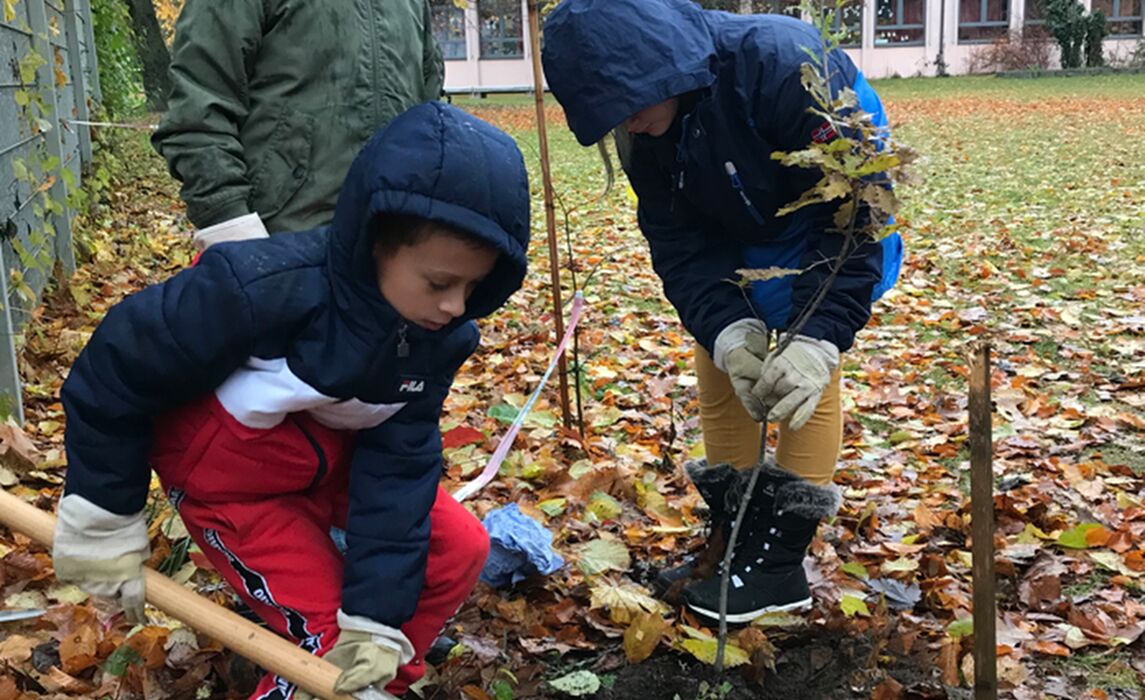 Kinder Pflanzen Einen Baum